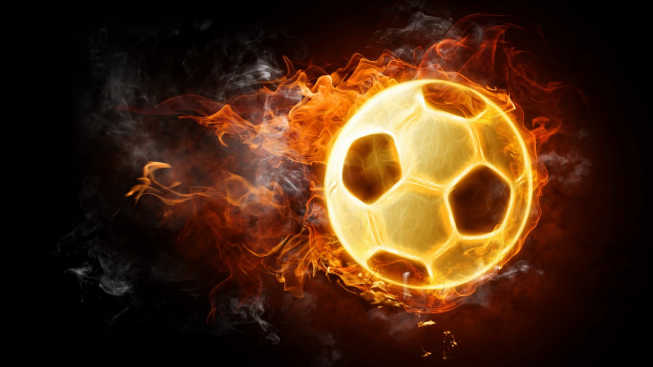 体育研究数据支持